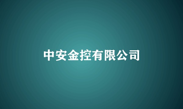 中安金控有限公司