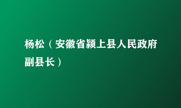 杨松（安徽省颍上县人民政府副县长）