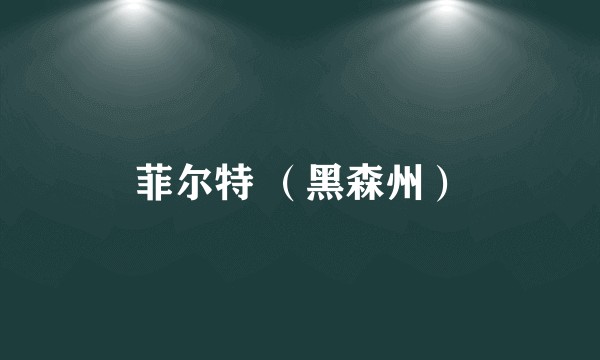 菲尔特 （黑森州）