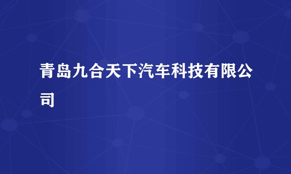 青岛九合天下汽车科技有限公司