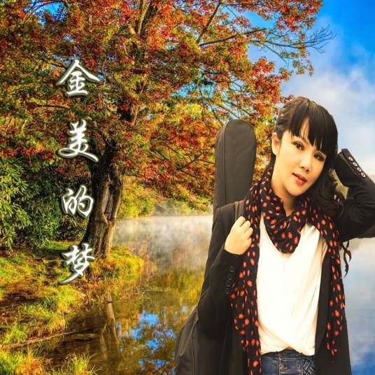 心梦（字金美演唱歌曲）