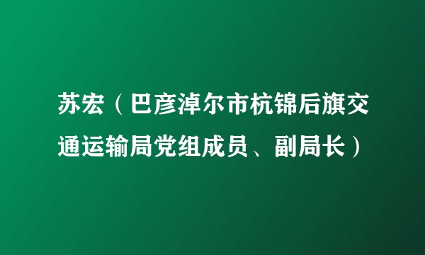 苏宏（巴彦淖尔市杭锦后旗交通运输局党组成员、副局长）