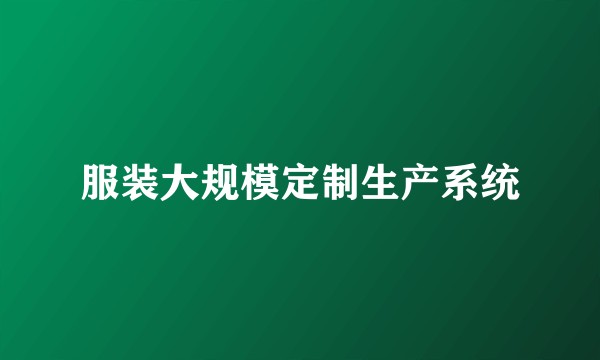 服装大规模定制生产系统