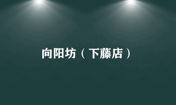 向阳坊（下藤店）