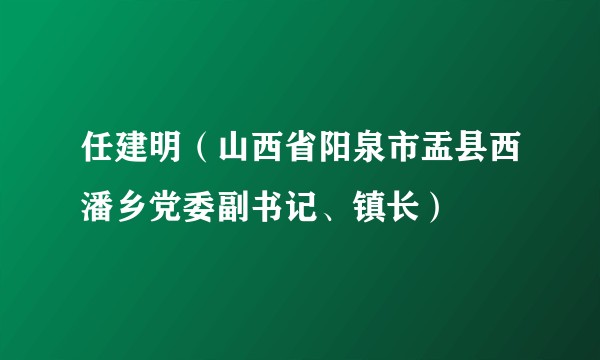 任建明（山西省阳泉市盂县西潘乡党委副书记、镇长）