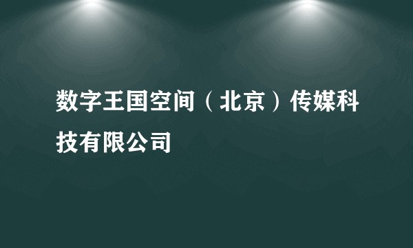 数字王国空间（北京）传媒科技有限公司