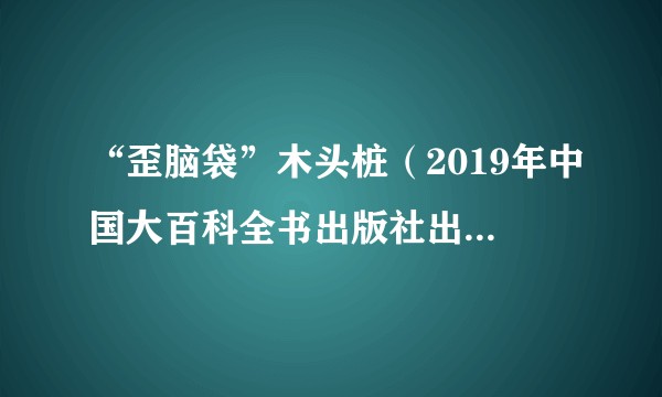 “歪脑袋”木头桩（2019年中国大百科全书出版社出版的图书）
