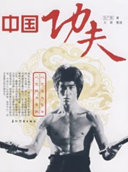 中国功夫（2008年五洲传播出版社出版的图书）