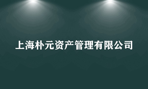 上海朴元资产管理有限公司