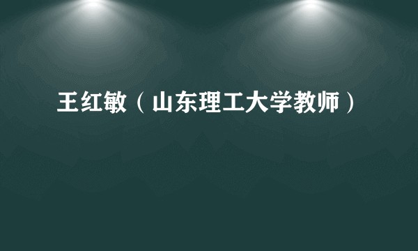 王红敏（山东理工大学教师）