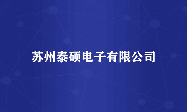 苏州泰硕电子有限公司