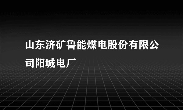 山东济矿鲁能煤电股份有限公司阳城电厂