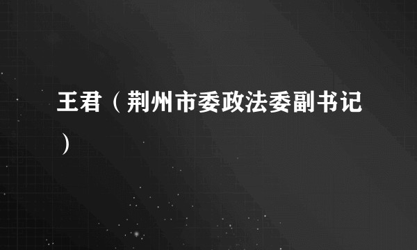 王君（荆州市委政法委副书记）
