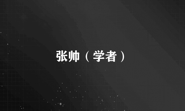 张帅（学者）