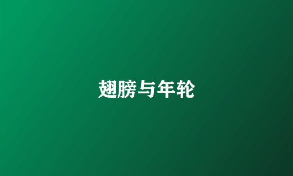 翅膀与年轮