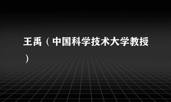 王禹（中国科学技术大学教授）