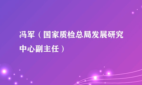 冯军（国家质检总局发展研究中心副主任）