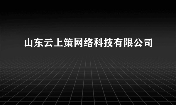 山东云上策网络科技有限公司