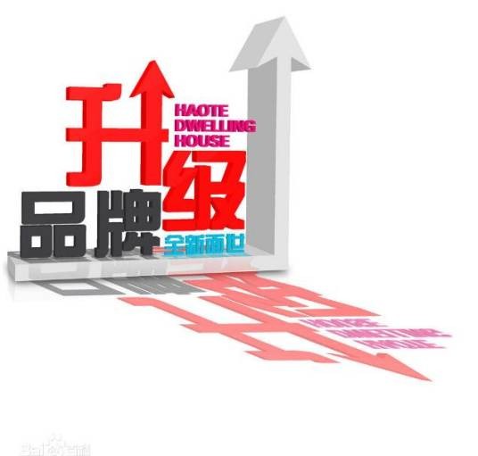 品牌升级(营销学术语)