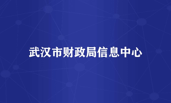 武汉市财政局信息中心