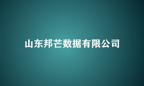山东邦芒数据有限公司