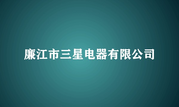 廉江市三星电器有限公司