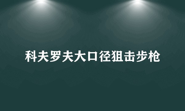 科夫罗夫大口径狙击步枪