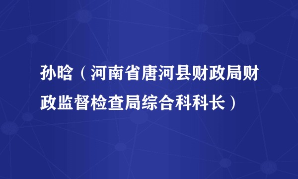 孙晗（河南省唐河县财政局财政监督检查局综合科科长）
