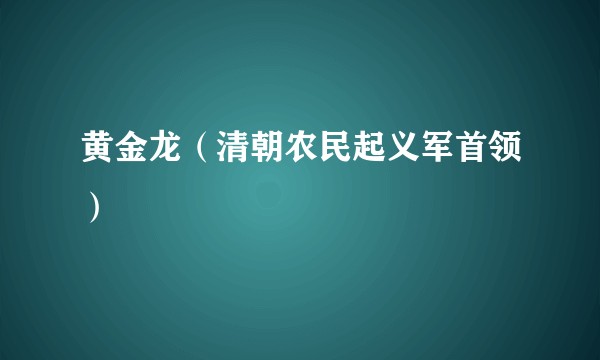 黄金龙（清朝农民起义军首领）