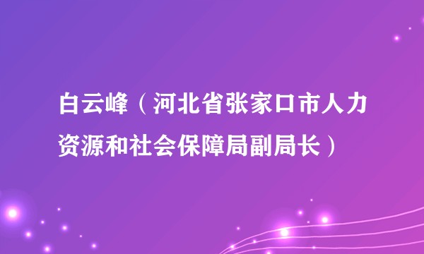 白云峰（河北省张家口市人力资源和社会保障局副局长）