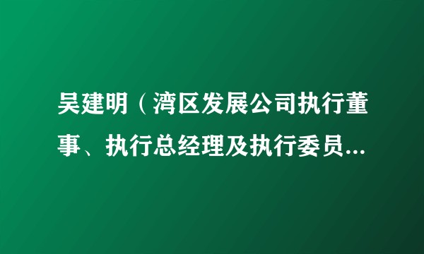 吴建明（湾区发展公司执行董事、执行总经理及执行委员会成员）