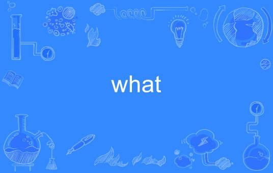 what（英文单词）