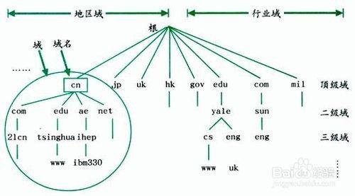 域名级别