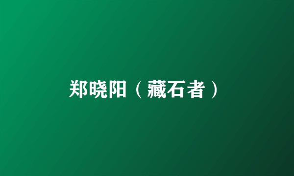 郑晓阳（藏石者）