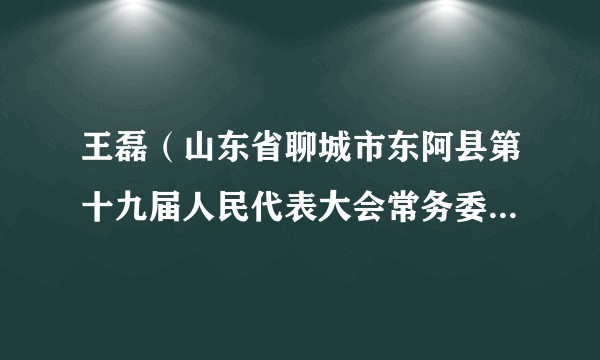 王磊（山东省聊城市东阿县第十九届人民代表大会常务委员会原委员）