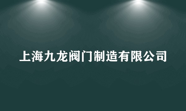上海九龙阀门制造有限公司