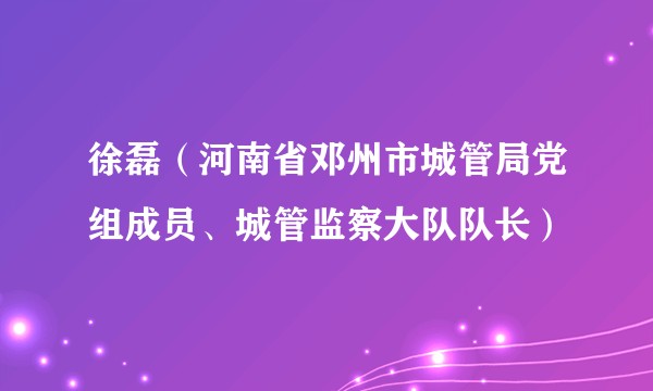 徐磊（河南省邓州市城管局党组成员、城管监察大队队长）