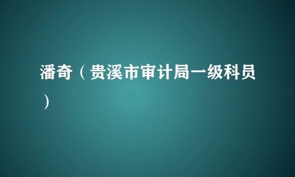 潘奇（贵溪市审计局一级科员）