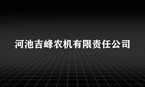 河池吉峰农机有限责任公司