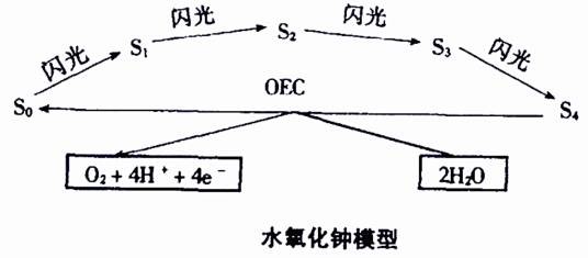 水氧化钟