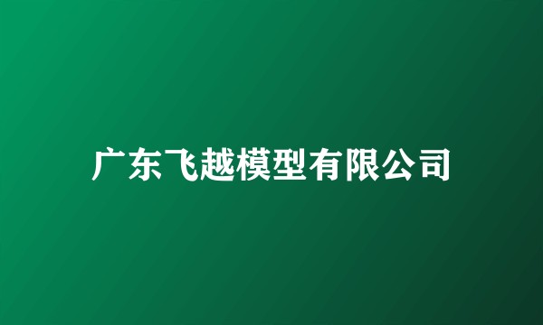 广东飞越模型有限公司