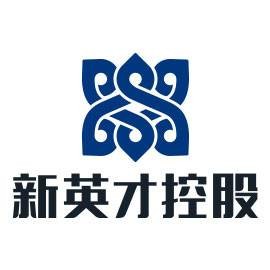 新英才控股集团有限公司
