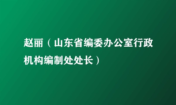 赵丽（山东省编委办公室行政机构编制处处长）