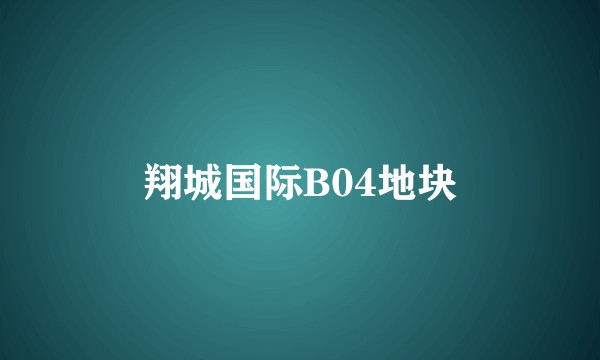 翔城国际B04地块