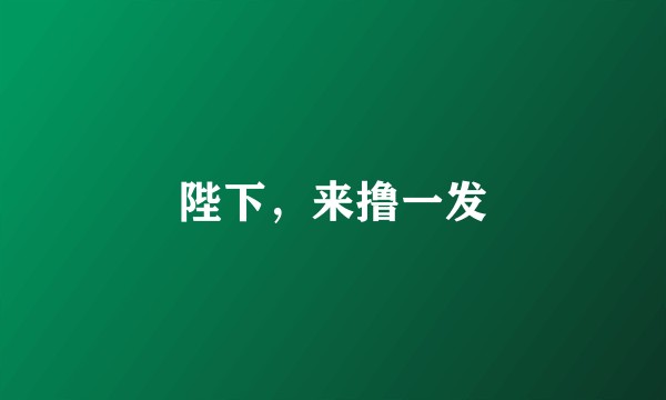 陛下，来撸一发