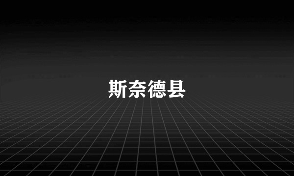 斯奈德县