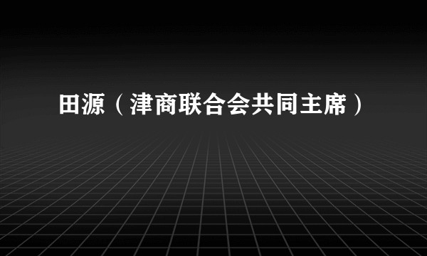 田源（津商联合会共同主席）