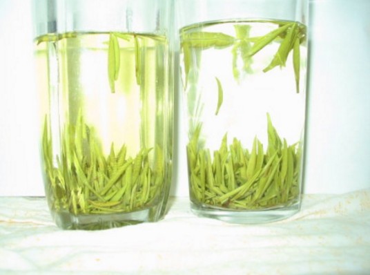 绿茶茶艺