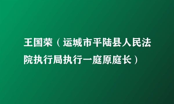 王国荣（运城市平陆县人民法院执行局执行一庭原庭长）