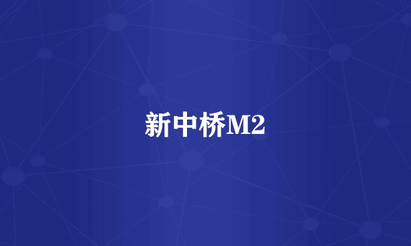 新中桥M2